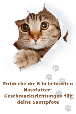 Die 5 beliebtes Nassfutter Geschmacksrichtungen bei Katzen - Top 5 Nassfutter für Katzen: Gesund &amp; lecker!